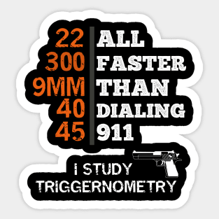 I Study Triggernometry gun Sticker